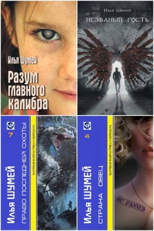 Илья Шумей. Сборник 34 книги
