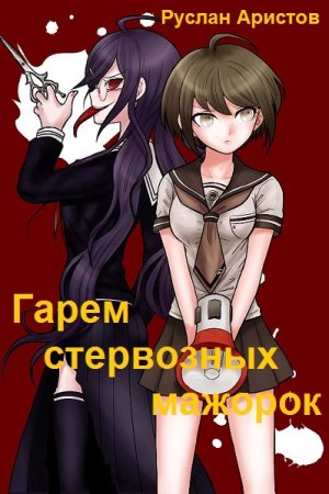 Руслан Аристов. Цикл (9 книг) - Гарем стервозных мажорок
