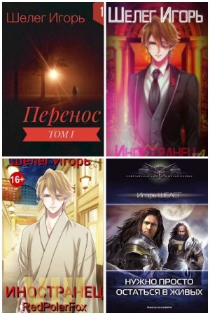 Игорь Шелег. Сборник 17 книг