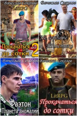Вячеслав Соколов. Сборник 13 книг