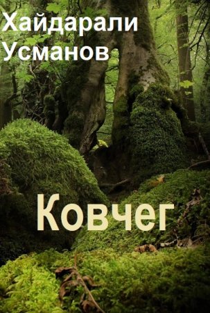 Хайдарали Усманов. Цикл (10 книг) - Ковчег